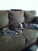 Little Britches.jpg