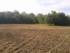 20140827_171951.jpg