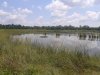 20130810_132439.jpg