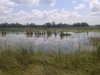20130810_132445.jpg