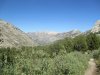 IMG_0342.jpg
