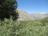 IMG_0343.jpg