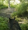 bear 3.jpg