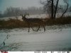 IMAG0056.jpg