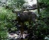 smaller 8pt..jpg