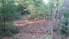 20140917_182608.jpg