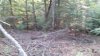 20140917_182628.jpg