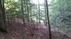 20140917_182925.jpg