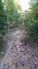 20140917_183225.jpg
