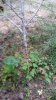 20140917_183238.jpg