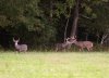DSC_2034.jpg