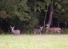 DSC_2039.jpg