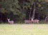 DSC_2050.jpg