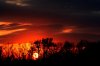 Mothers Day Sunset 2011.jpg