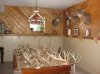 The Night Hollow buck rack.jpg