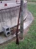 IMG00624-20110626-1846.jpg
