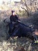 Iphone pics 215.jpg