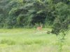 IMG_20110714_192819.jpg