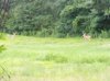 IMG_20110714_192827.jpg