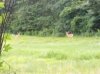 IMG_20110714_192840.jpg