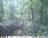 potential sideview.jpg
