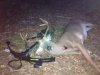 Crossbow Buck 9-20-14.jpg