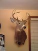 20140302_213004.jpg
