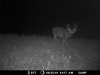 MDGC0076.jpg