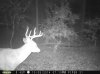 trailcam2014 015.jpg