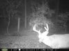 trailcam2014 022.jpg