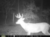 trailcam2014 023.jpg