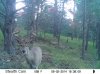9-2-14 Broken Boulder.jpg