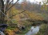 IMG_2730.jpg