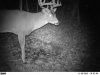 Big%20Bargersville%2013-14%20pt.jpg