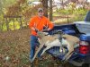 Deer 2014 013.jpg