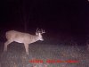 8 Point Buck- Dells.jpg
