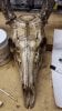 skull carvings etc aug 19 2014 002.jpg