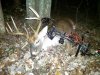 IMG_20141103_183541_807.jpg