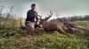 wi buck 2014 2.jpg