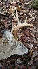 20141107_101244_resized.jpg