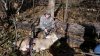 WifesBuck.jpg