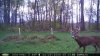 alfalfa river 409.jpg