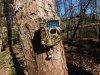 1 mp6 tree mount.jpg