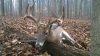 WP_20141212_001.jpg
