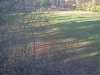 downsized_1214141541.jpg