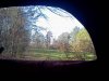 downsized_1226141517.jpg