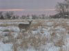 SDC10002.jpg