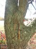 20141030_145546.jpg