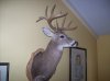 100_0121.jpg
