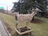 mail box.jpg